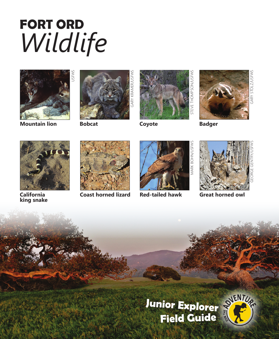 Fort Ord National Monument Junior Ranger Activity Book, Page 2