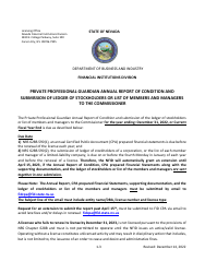 Private Professional Guardian Annual Report of Condition and Submission of Ledger of Stockholders or List of Members and Managers to the Commissioner - Nevada