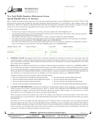 Document preview: Form F204 Special Durable Power of Attorney - New York City