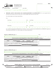 Form F204 Special Durable Power of Attorney - New York City, Page 7
