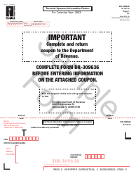 Document preview: Form DR-309636 Terminal Operator Information Return - Sample - Florida
