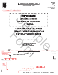 Form DR-309636 Terminal Operator Information Return - Sample - Florida