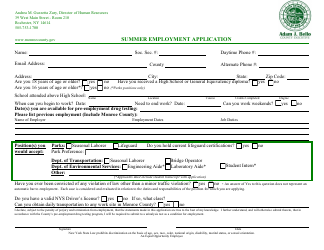 Document preview: Summer Employment Application - Monroe County, New York