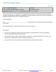 Form CDPH E276P Online Nurse Assistant Training Program Policies and Procedures - California, Page 4