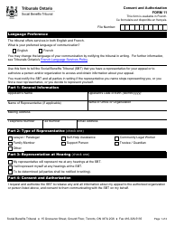 Form 11 Consent and Authorization - Ontario, Canada