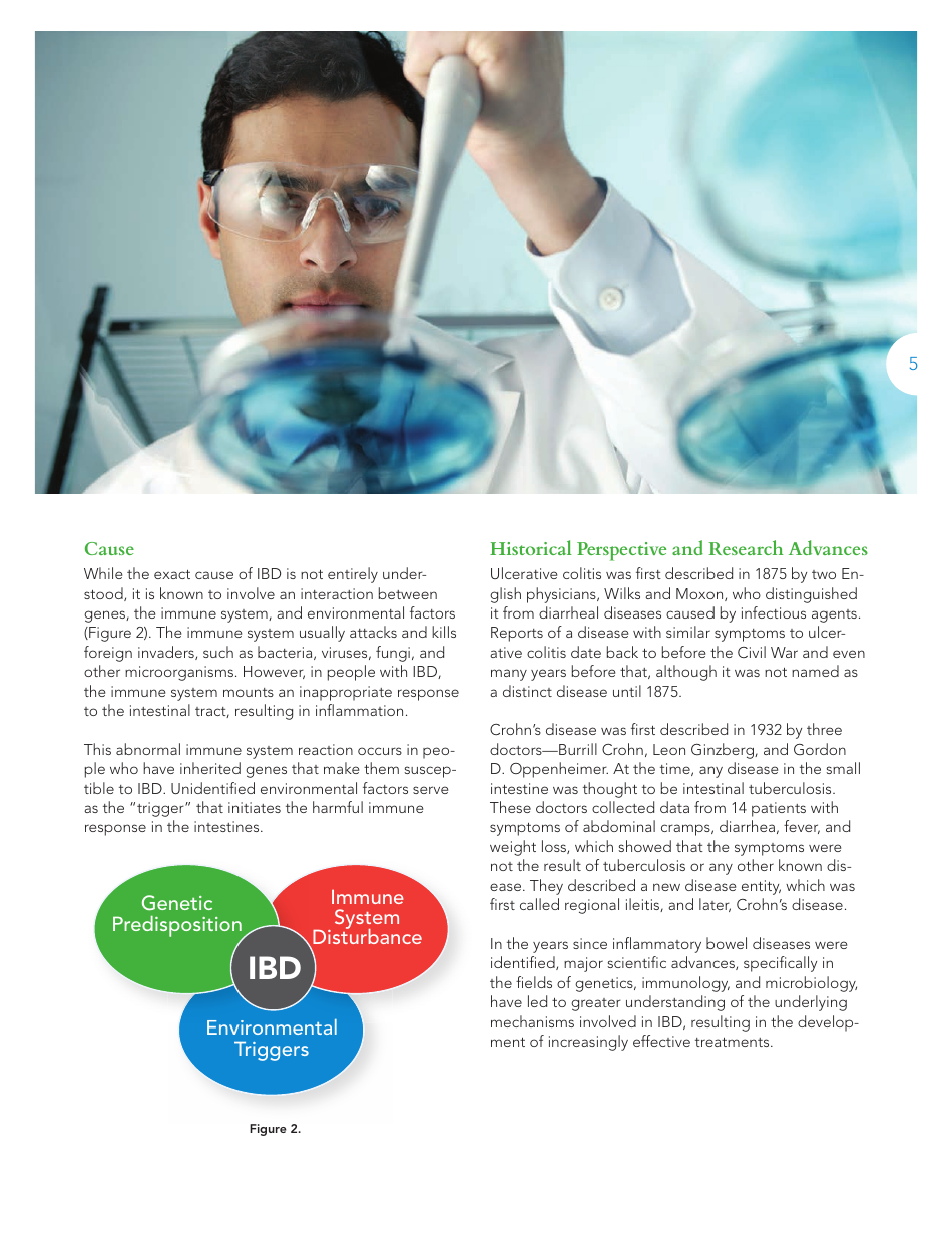 The Facts About Inflammatory Bowel Diseases - Crohns  Colitis Foundation, Page 7