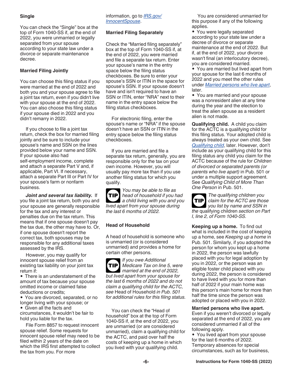 Instructions for IRS Form 1040-SS U.S. Self-employment Tax Return (Including the Additional Child Tax Credit for Bona Fide Residents of Puerto Rico), Page 6