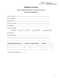 Small Business Support Grant Application - Allegany County, New York, Page 6