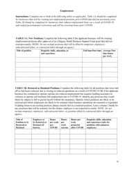 Small Business Support Grant Application - Allegany County, New York, Page 9