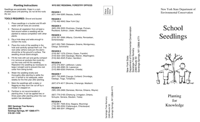 School Seedling Application - New York, Page 2