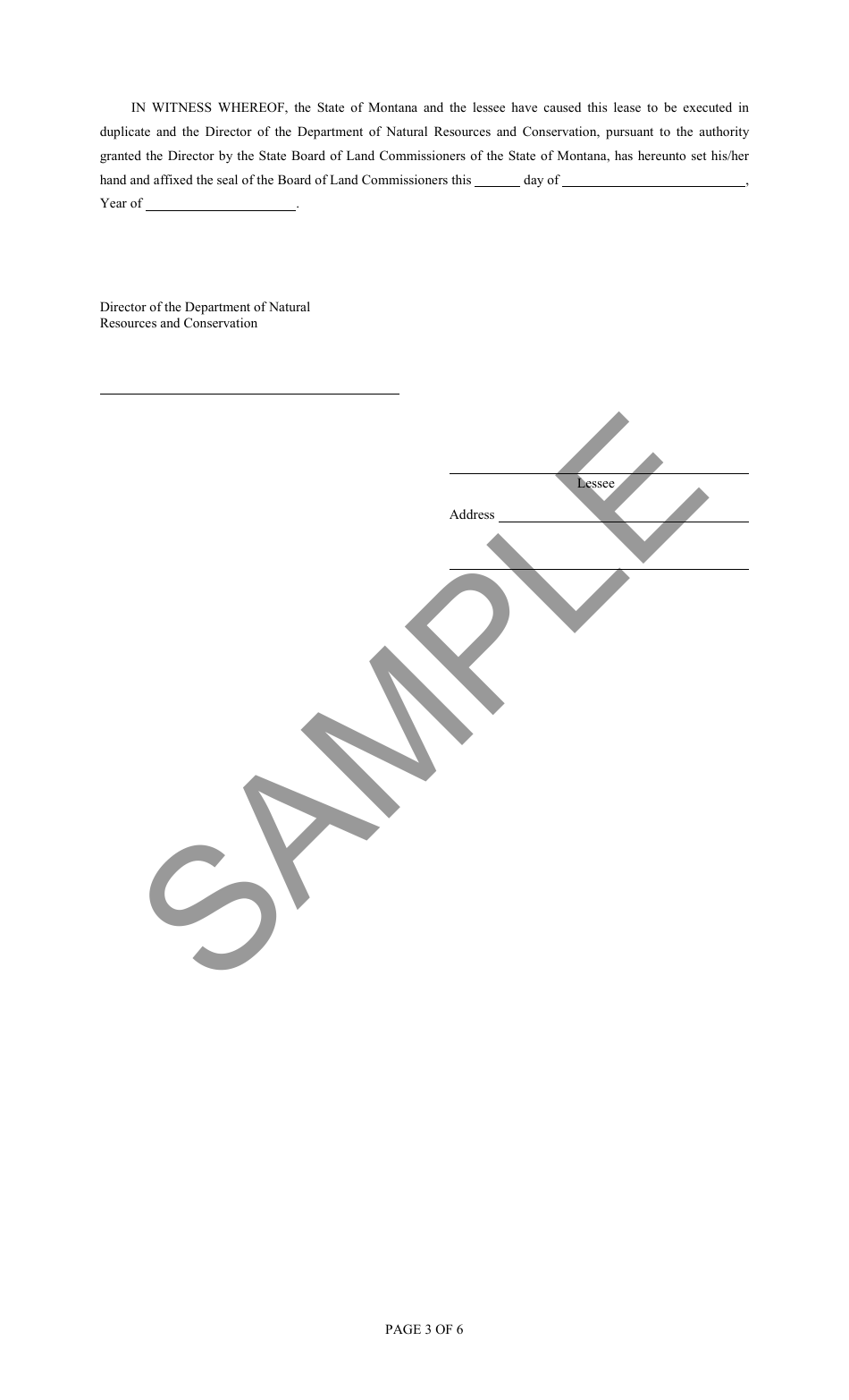 Form DS-477 Metalliferous Mineral or Gem Mining Lease - Sample - Montana, Page 3