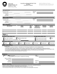 Document preview: Placed in Service Report for Meters (Petroleum Products) - Oregon