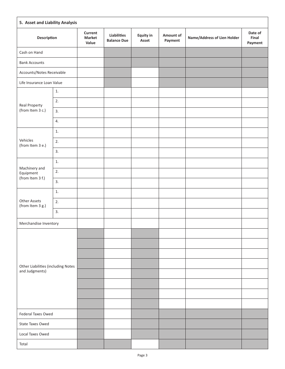 Form FIN B-1 Financial Statement for Businesses - Virginia, Page 3