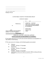 Form 2F-P-458 Order Re: Custody, Visitation, Support After Voluntary Establishment of Paternity - Hawaii