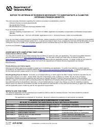 VA Form 21P-527EZ Application for Veterans Pension