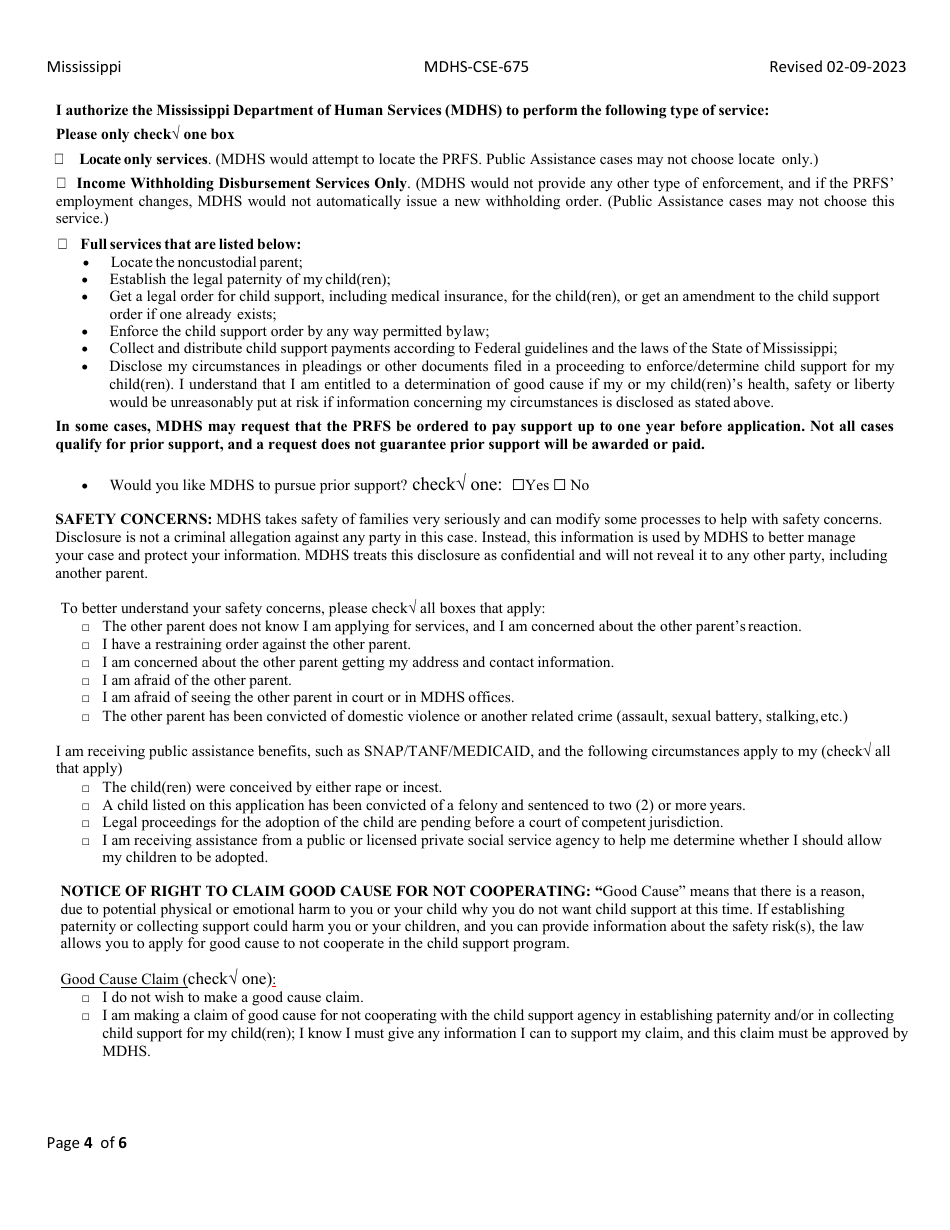 Form MDHSCSE675 Download Fillable PDF or Fill Online Application for