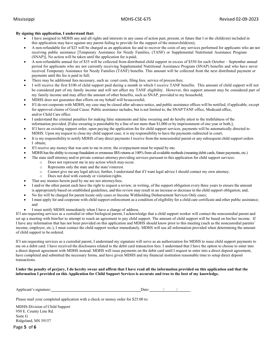 Form MDHSCSE675 Download Fillable PDF or Fill Online Application for