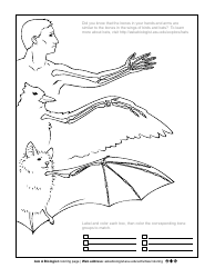 Educational Coloring Page - Homology