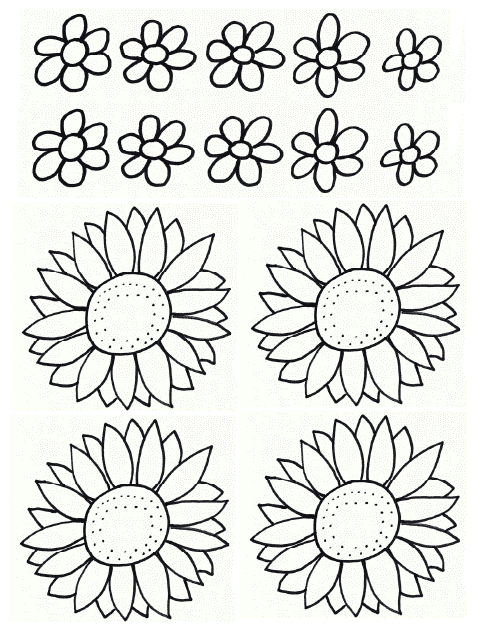Flower Outlines Coloring Page