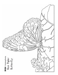 Document preview: Rice Paper Butterfly Coloring Page