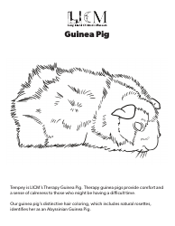 Document preview: Guinea Pig Coloring Page