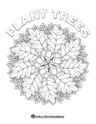 Document preview: Oak Tree Coloring Page - Leaves and Acorns