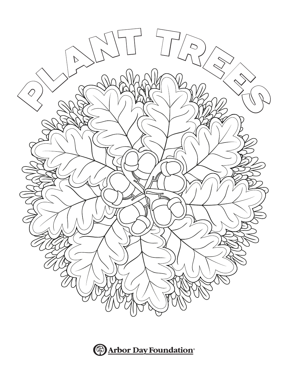 Oak Tree Coloring Page Preview