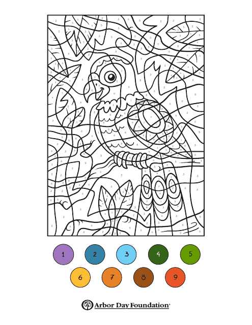 Color by Number Coloring Page - Parrot