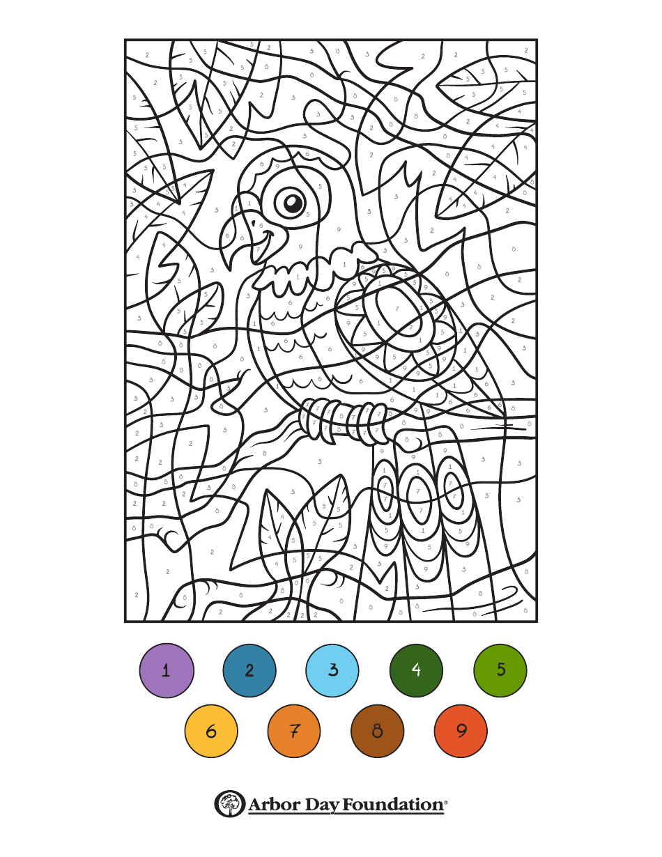 Parrot Color by Number Coloring Page Preview