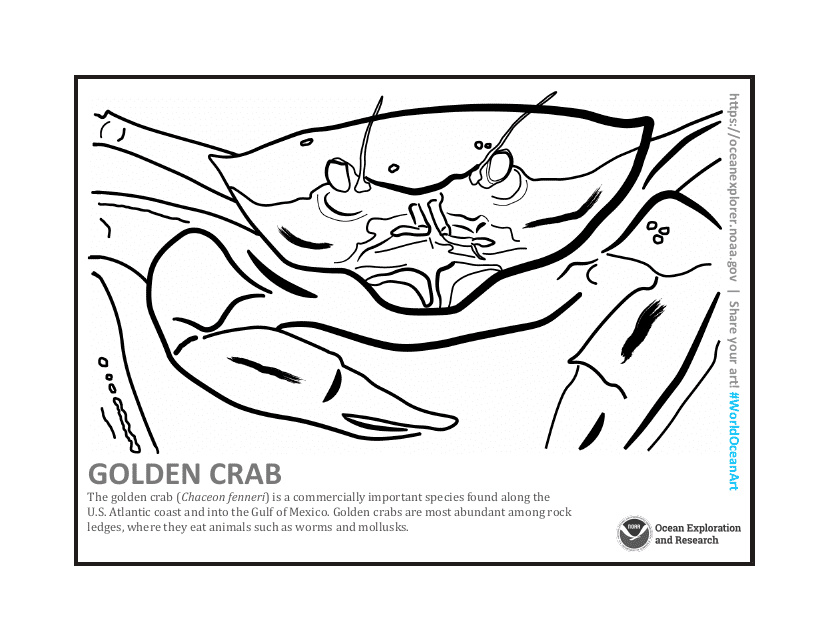 Golden Crab Coloring Page