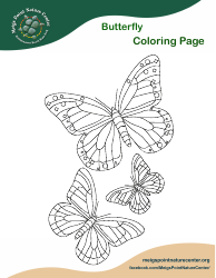 Document preview: Butterfly Coloring Page