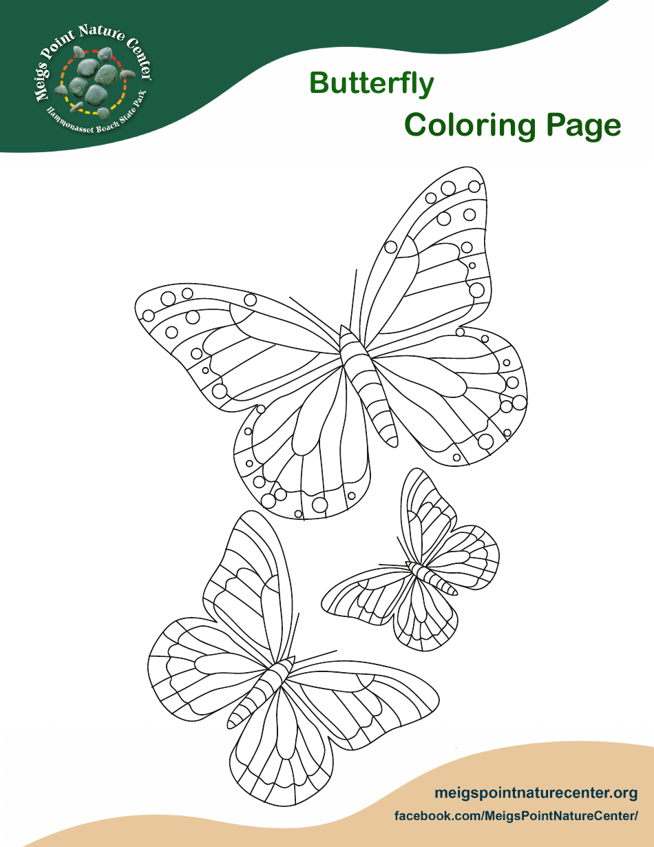 Butterfly Coloring Page - Printable Coloring Page for Kids