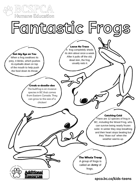 Educational Coloring Sheet - Fantastic Frogs