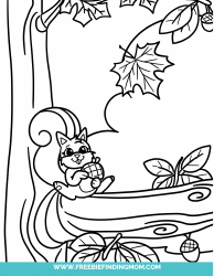 Document preview: Squirrel With a Nut Coloring Page