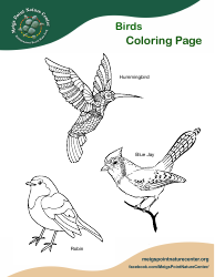 Document preview: Birds Coloring Page - Hummingbird, Blue Jay, Robin