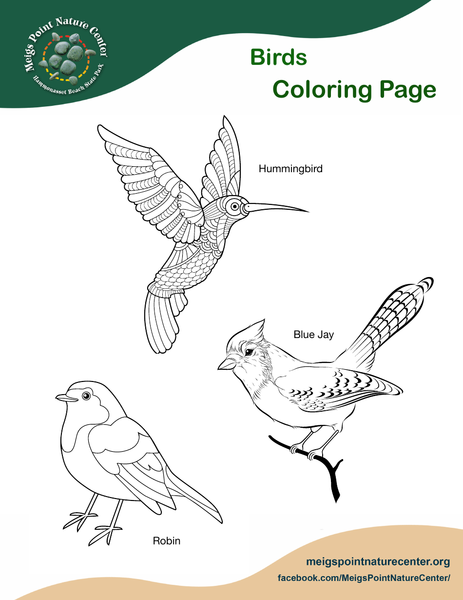 Birds Coloring Page - Hummingbird, Blue Jay, Robin
