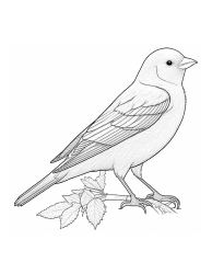 Document preview: Bird Coloring Page - Canary