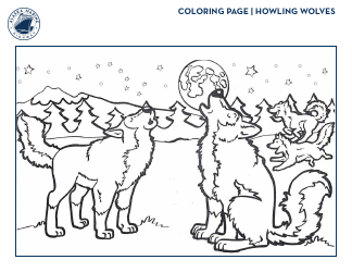 Document preview: Howling Wolves Coloring Page