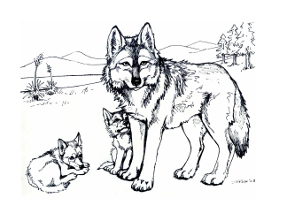 Document preview: Wolf With Cubs Coloring Pages