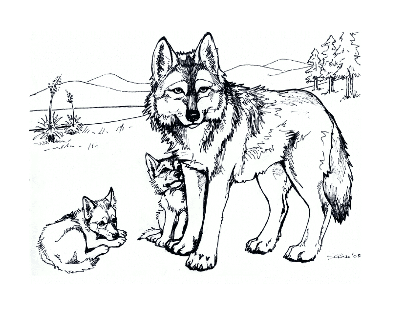 Wolf With Cubs Coloring Pages