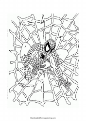 Document preview: Spider-Man Coloring Sheet - Spider Web