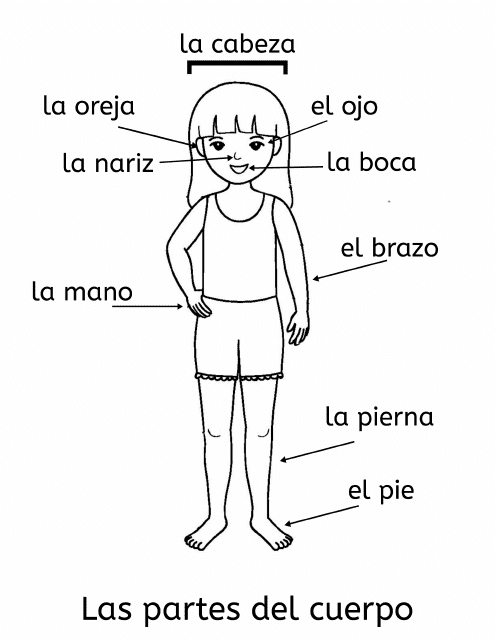 Body Parts Coloring Page (Spanish)