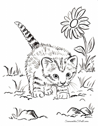 Document preview: Kitten in the Garden Coloring Page