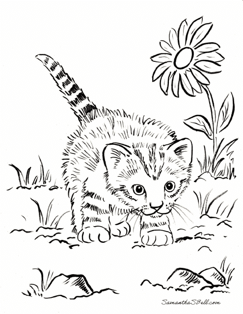 Kitten in the Garden Coloring Page
