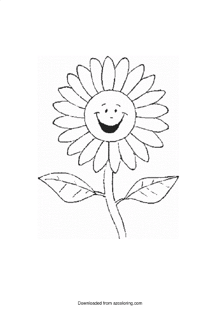 Camomile Coloring Page