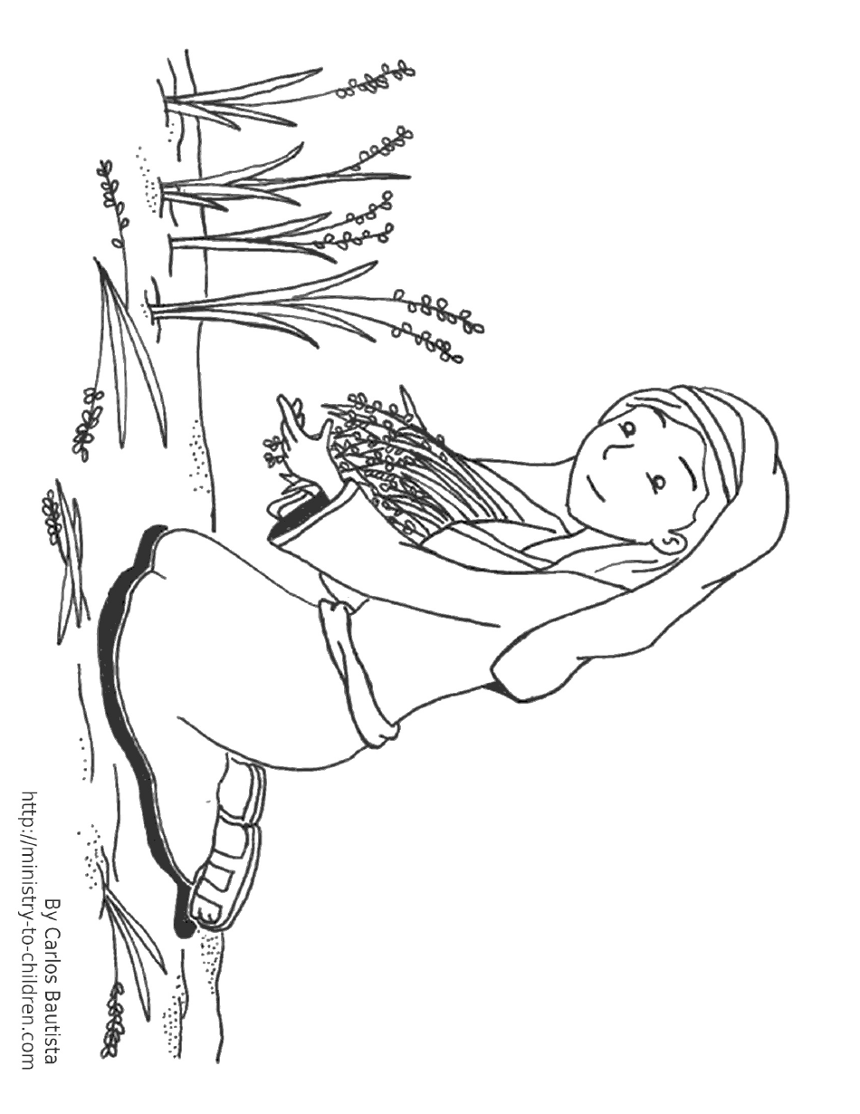 Harvest Time Coloring Page - Picture of a coloring page with a festive fall design