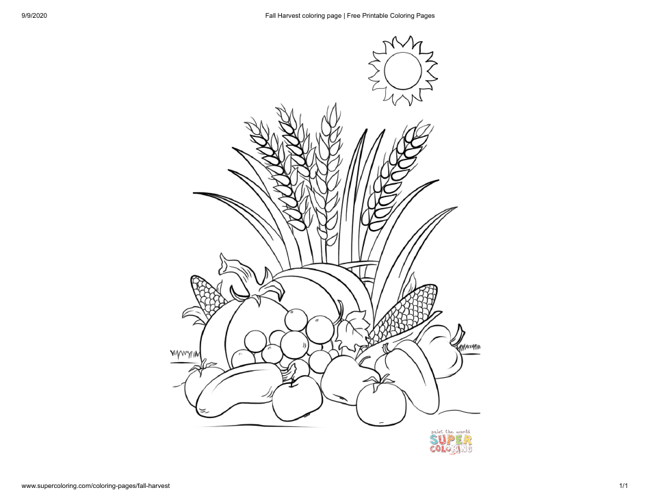 Fall Harvest Coloring Page image preview