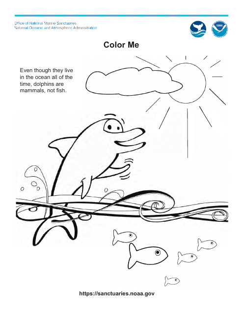 Dolphin and Fish Coloring Page Preview Image - Printable Coloring Sheet Illustrated with a Dolphin and Fish