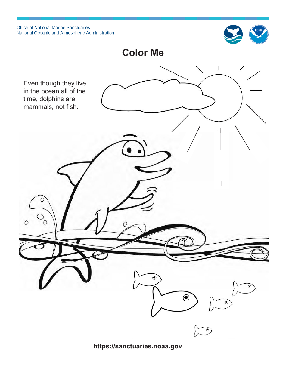 Dolphin and Fish Coloring Page Download Printable PDF | Templateroller