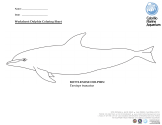 Document preview: Bottlenose Dolphin Coloring Sheet